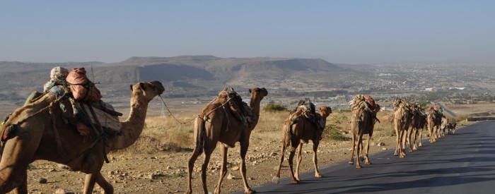 Camals Caravan into Mekele