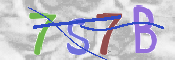 CAPTCHA Image