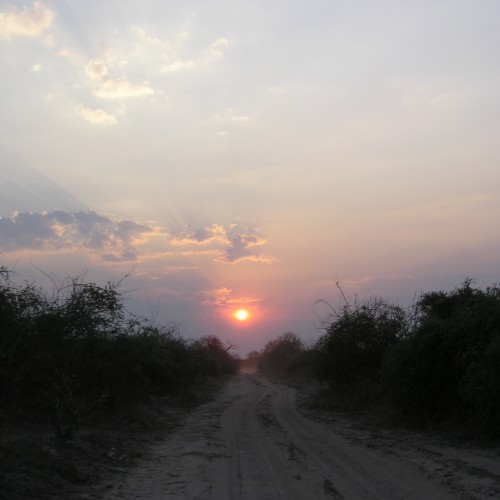 Botswana-Chobe-sunset